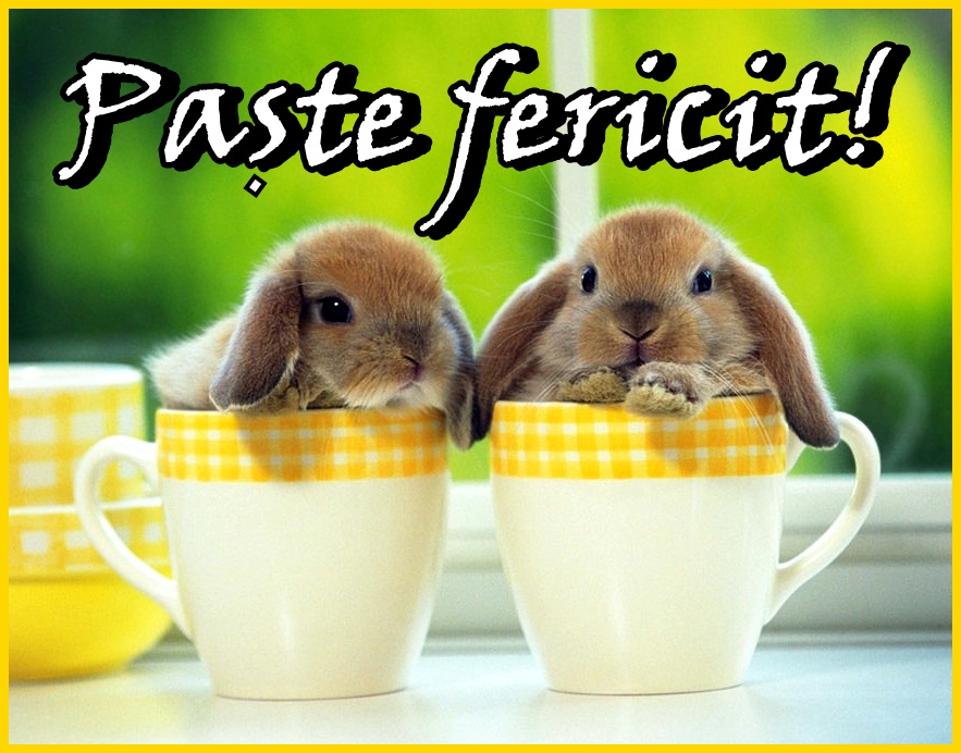 Name:  paste-fericit.jpg
Views: 337
Size:  185.8 KB
