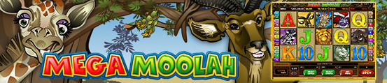 Name:  megaMoolah.PNG
Views: 214
Size:  200.9 KB