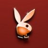 24player's Avatar